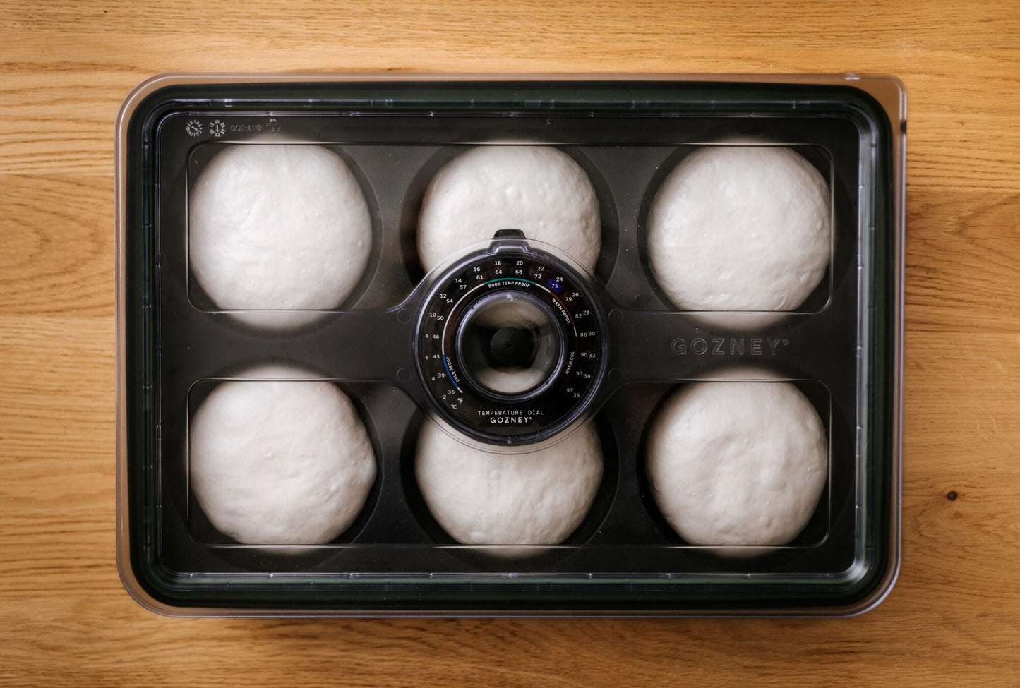 GOZNEY Pizzaballen-Box