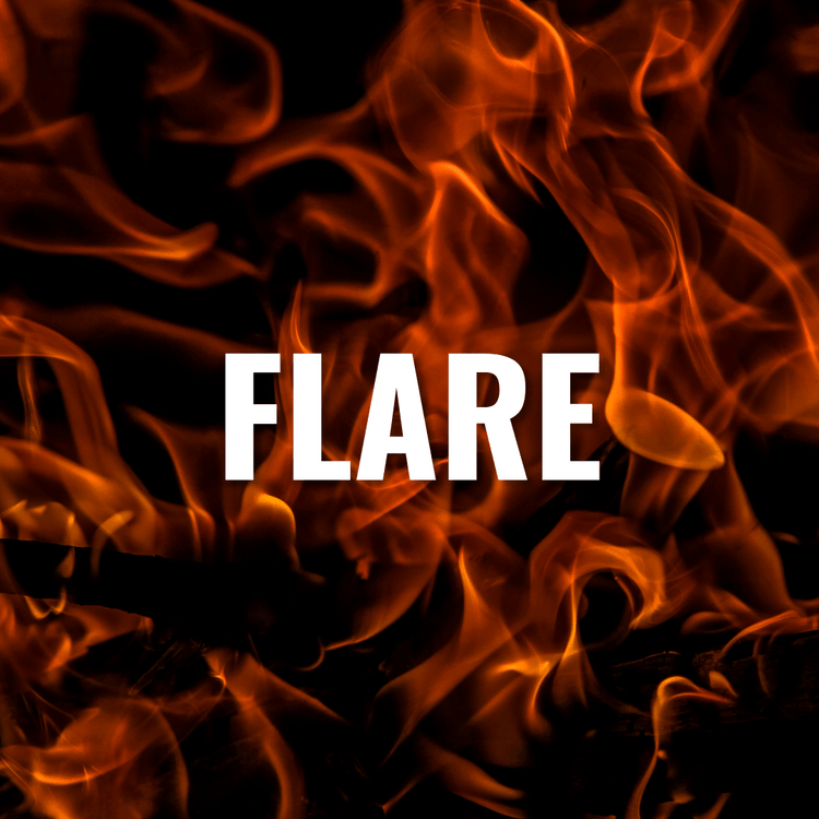 FLARE - The Barbecue Park