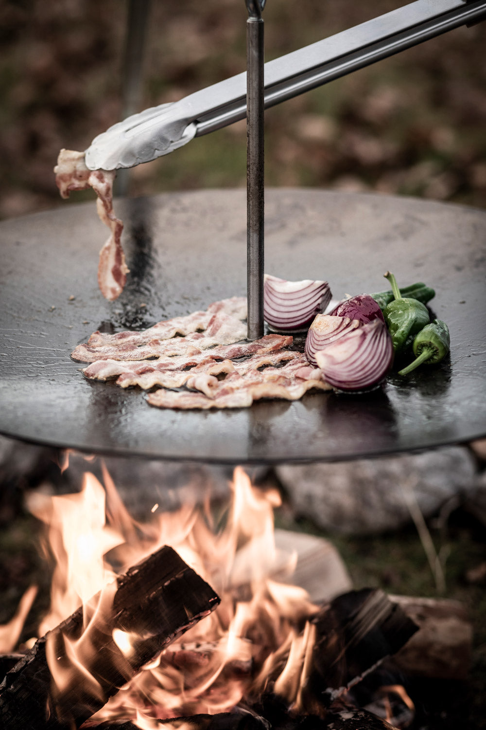 Grill- und Kohlenzange (groß)